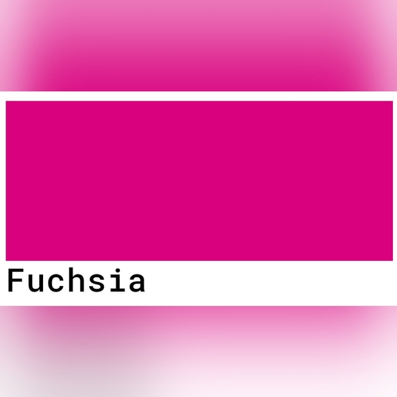 HOST PICK YSL Beaute Pouch - Picture 13 of 13